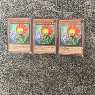 フラボット ノーマル