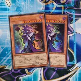 時花の賢者-フルール・ド・サージュ ウルトラレア ２枚セット