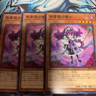 Witch of the Black Rose Normal