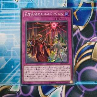 紅き血染めのエルドリクシル スーパーレア