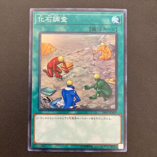 化石調査 スーパーレア