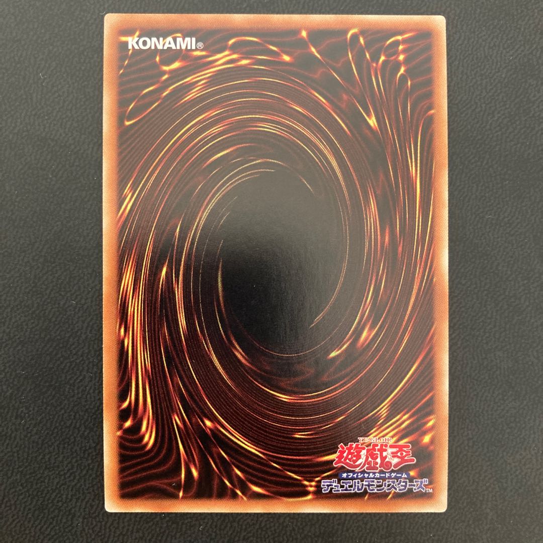 化石調査 スーパーレア