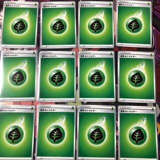 Basic GrassEnergy 12-piece set