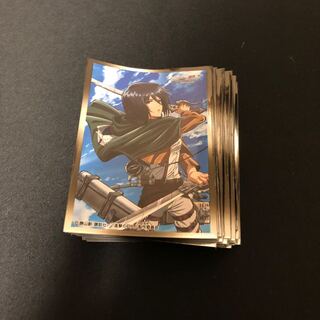 ミカサ スリーブ 47枚