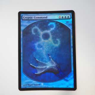 【珈琲のお供様専用】謎めいた命令/Cryptic Command