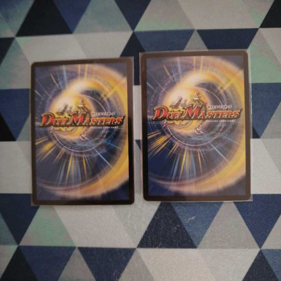 genius様専用です 偽りの王 ナンバーナイン|歓喜の歌