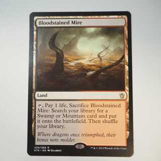 【値下】血染めのぬかるみ/Bloodstained Mire