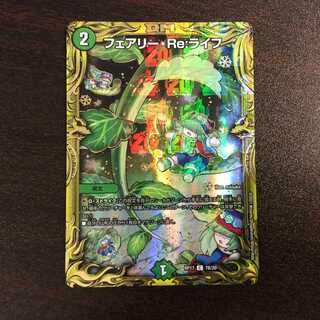 （美品）フェアリー・Re:ライフ　C/20th 7B/20