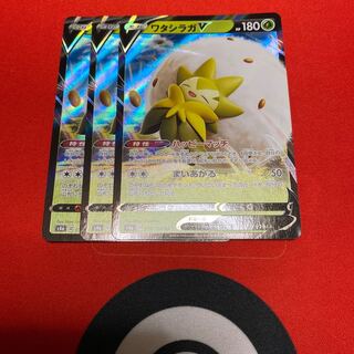 ワタシラガセット