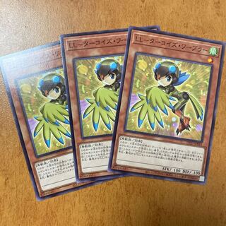 LL-ターコイズ・ワーブラー 3枚