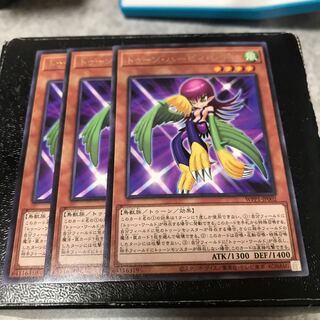 トゥーン・ハーピィ・レディ レア3枚