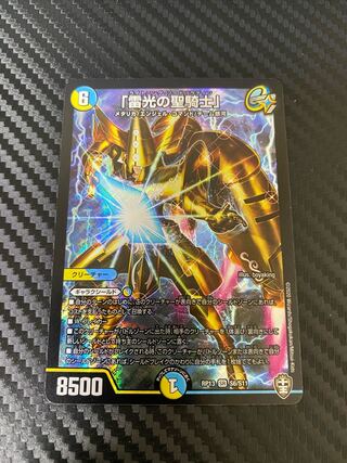 「雷光の聖騎士」