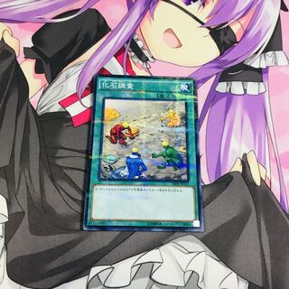 化石調査【NP】