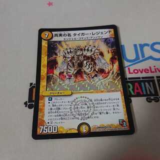 真実の名 タイガー・レジェンド