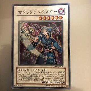 マジックテンペスター EXP2-JP029