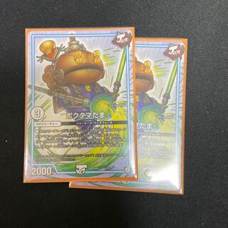 Poktama (variety of rice)