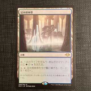 MH1【冠水樹林帯】日本語