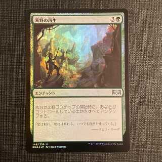 RNA【荒野の再生】日本語 Foil