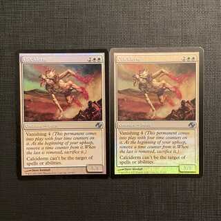 PLC [Calciderm] English Foil Set of 2