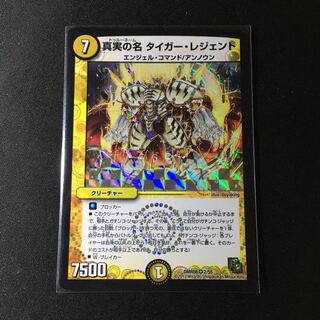 The True Name Tiger Legend