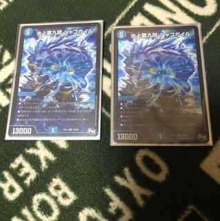 シャコガイル2枚セット