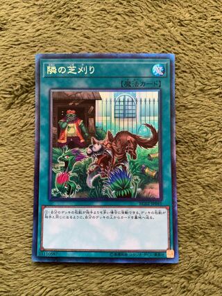 隣の芝刈り コレクターズレア