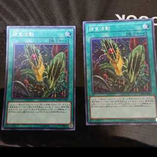 Predapractice Super Rare, set of 2
