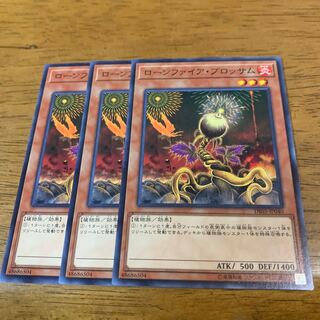 ローンファイア・ブロッサム ノーマル×3