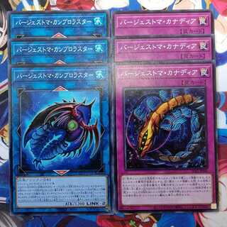 バージェストマ・カナディアとカンブロラスター