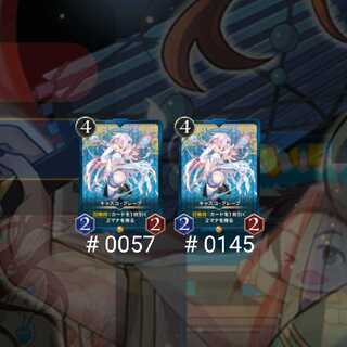 キャスコ・フレープ 2枚セット