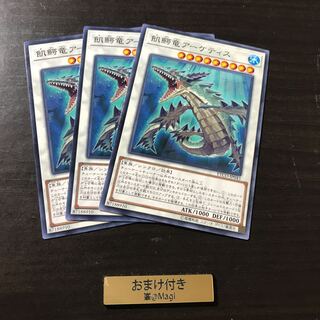 飢鰐竜アーケティス ノーマル