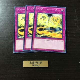 ワンダー・エクシーズ ノーマル