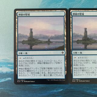 MTG 神秘の聖域 2枚