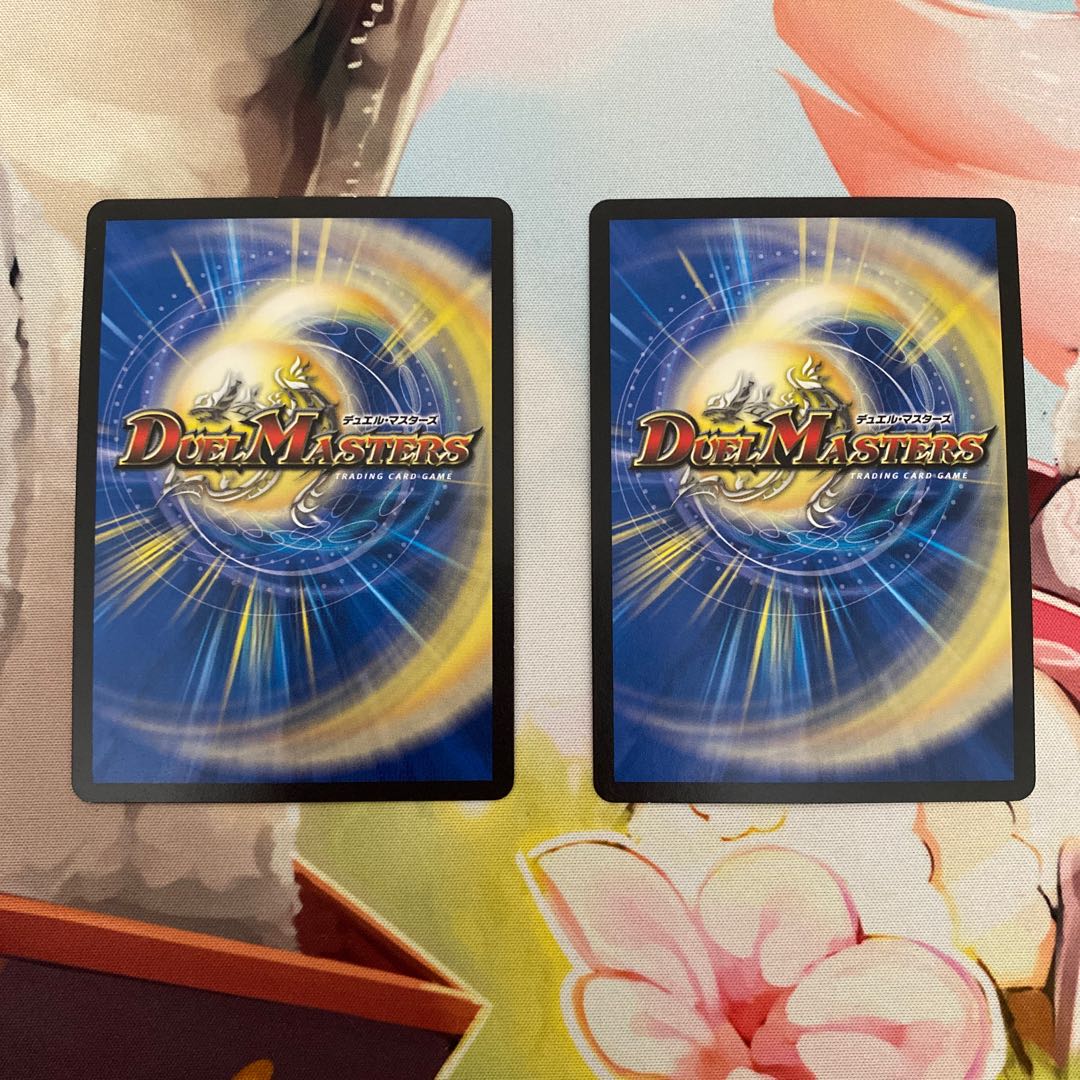 百族の長 プチョヘンザ 1枚