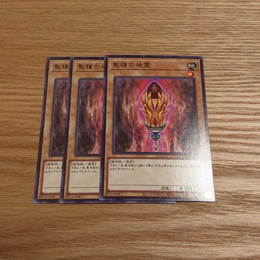 聖種の地霊