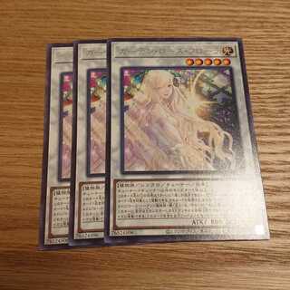 ガーデン・ローズ・フローラ