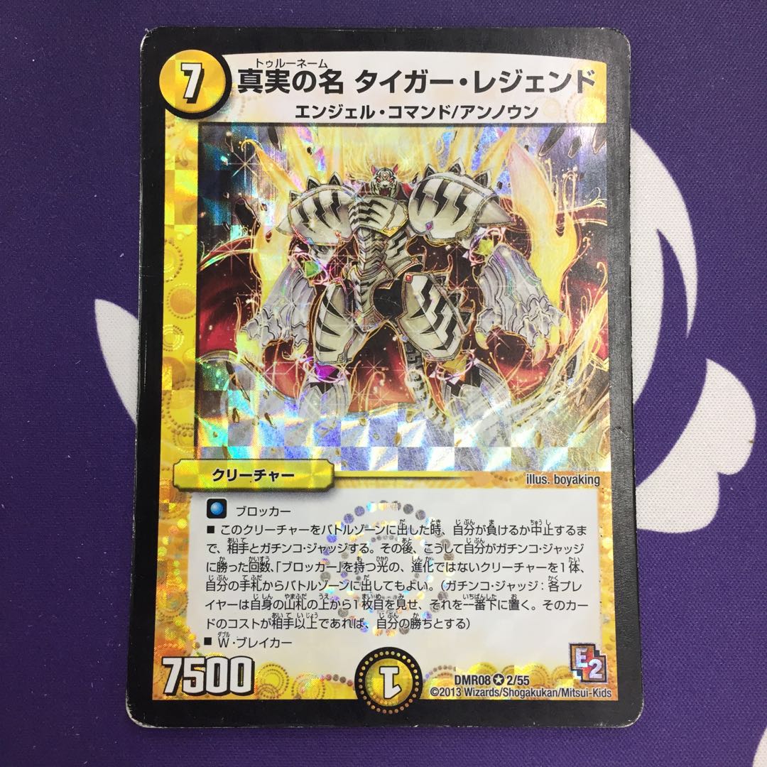 【magi特価】真実の名 タイガー・レジェンド VR