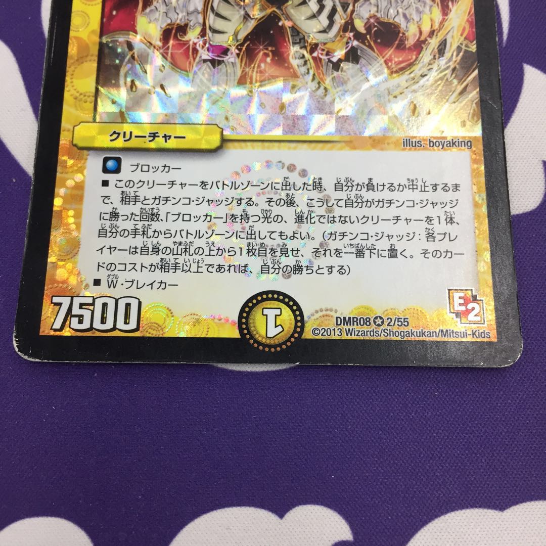 【magi特価】真実の名 タイガー・レジェンド VR