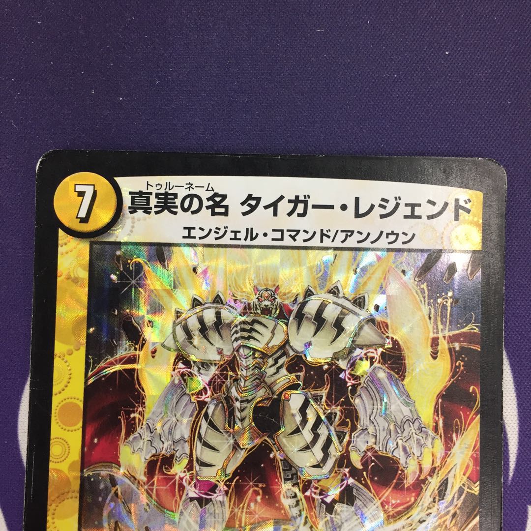 【magi特価】真実の名 タイガー・レジェンド VR