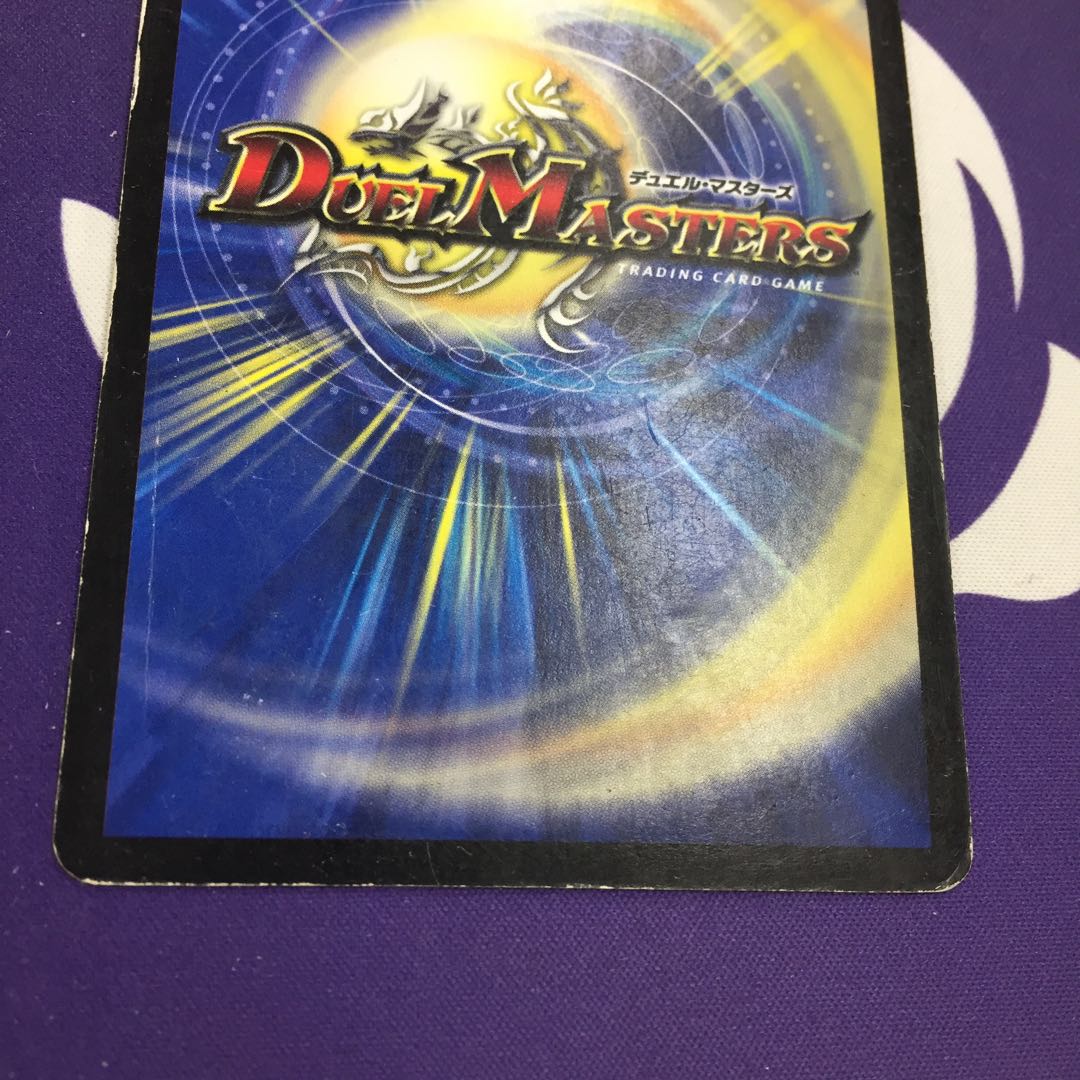 【magi特価】真実の名 タイガー・レジェンド VR