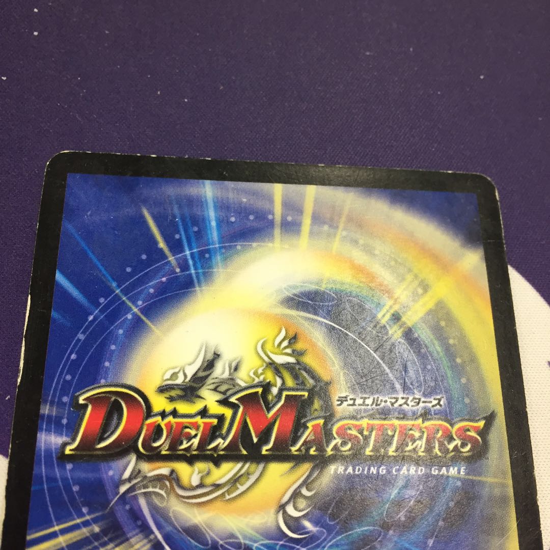 【magi特価】真実の名 タイガー・レジェンド VR