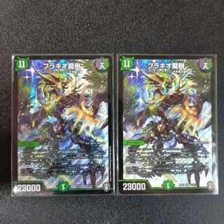 ブラキオ龍樹 2枚