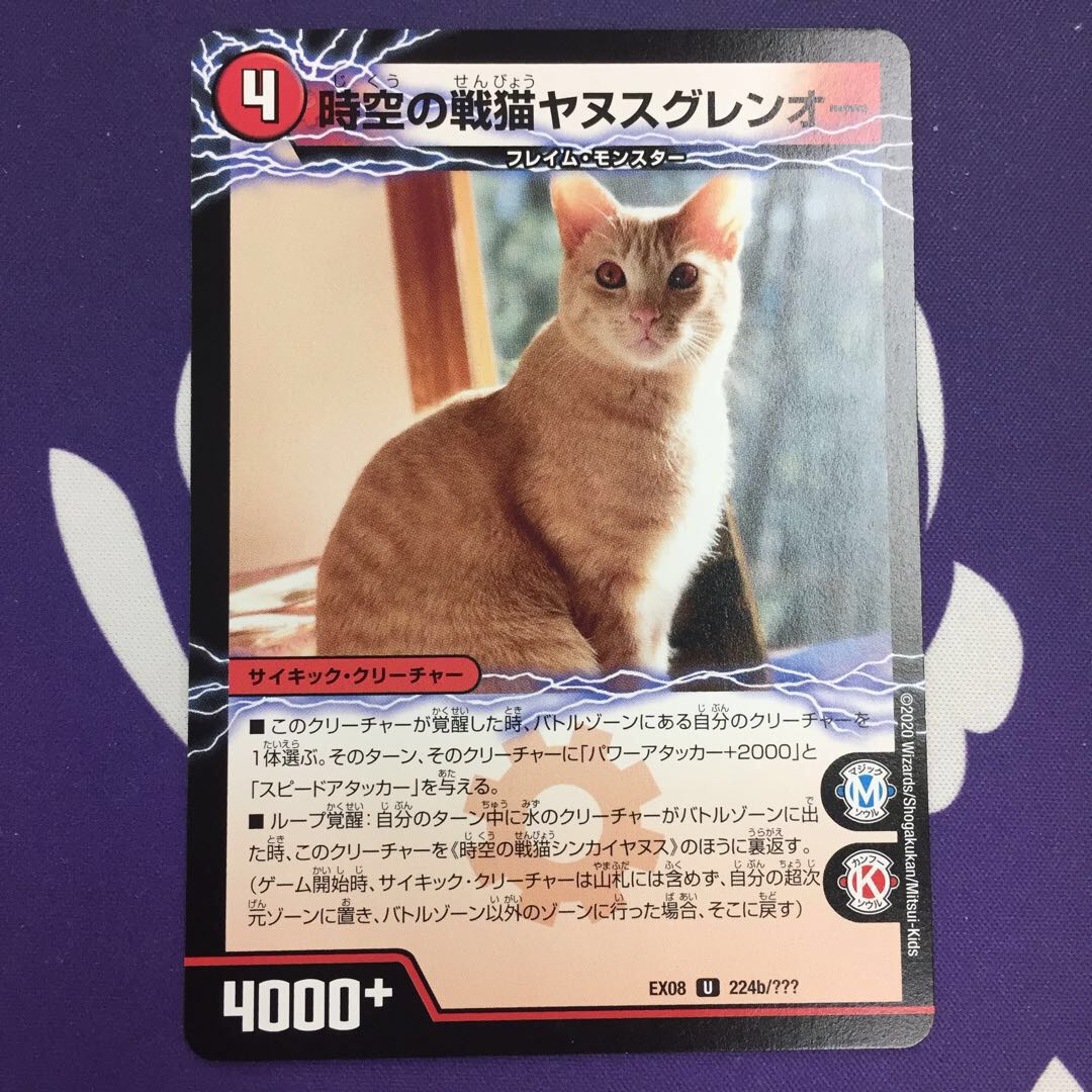 時空の戦猫シンカイヤヌス|時空の戦猫ヤヌスグレンオー U