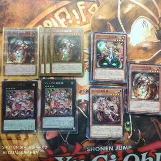 蟲惑魔 専用ページ