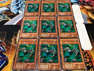 スケルエンジェル 初期 ノーマル 9枚セット てら