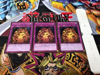 Widespread Ruin gold, set of 3 tera