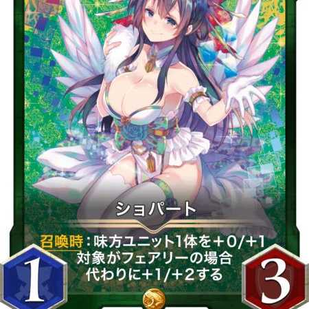 2枚セット ショパート