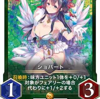 2枚セット ショパート