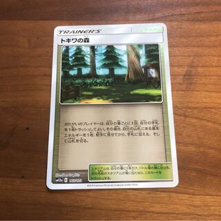 トキワの森 ミラー 1枚