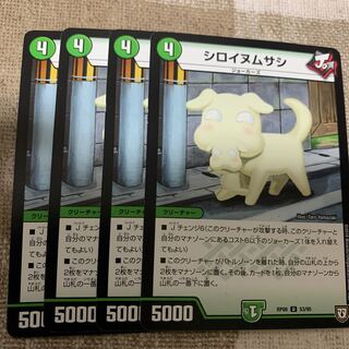 シロイヌムサシ U